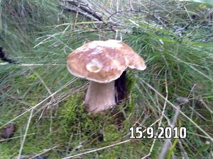 Klikni pro velký obrázek