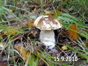 Klikni pro velký obrázek