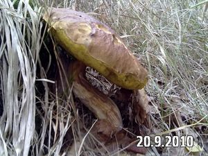 Klikni pro velký obrázek