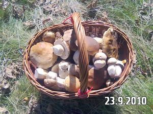 Klikni pro velký obrázek