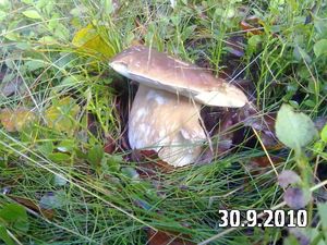 Klikni pro velký obrázek