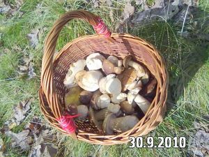 Klikni pro velký obrázek