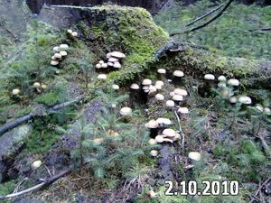 Klikni pro velký obrázek