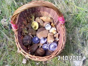 Klikni pro velký obrázek