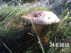 Klikni pro velký obrázek