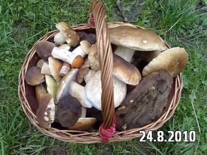 Klikni pro velký obrázek