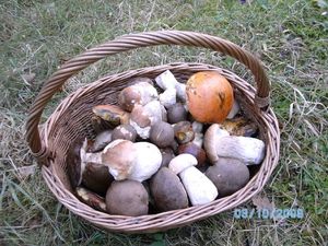 Klikni pro velký obrázek