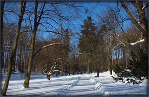 Klikni pro velký obrázek