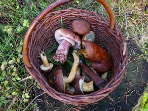 Klikni pro velký obrázek