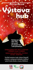 Klikni pro velký obrázek