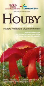 Klikni pro velký obrázek