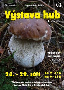 Klikni pro velký obrázek