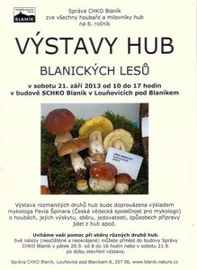 Klikni pro velký obrázek