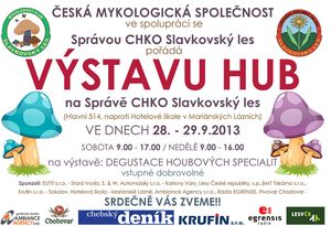 Klikni pro velký obrázek