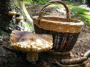 Klikni pro velký obrázek