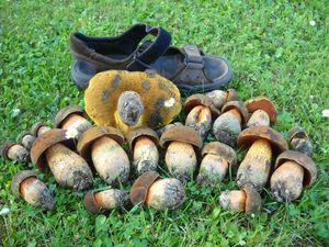 Klikni pro velký obrázek