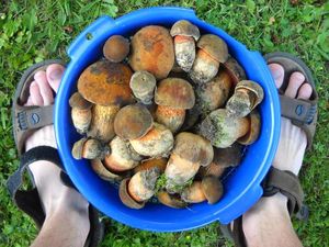 Klikni pro velký obrázek