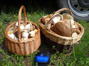 Klikni pro velký obrázek