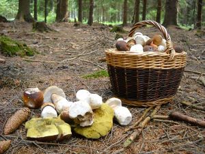 Klikni pro velký obrázek