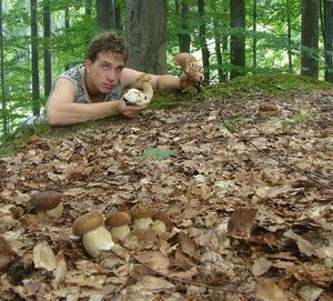 Klikni pro velký obrázek