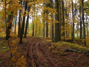 Klikni pro velký obrázek