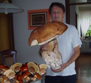 Klikni pro velký obrázek