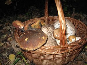 Klikni pro velký obrázek