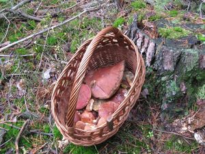 Klikni pro velký obrázek