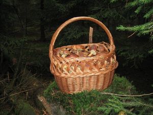 Klikni pro velký obrázek