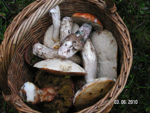 Klikni pro velký obrázek