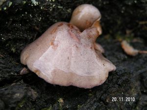 Klikni pro velký obrázek