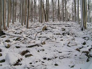 Klikni pro velký obrázek