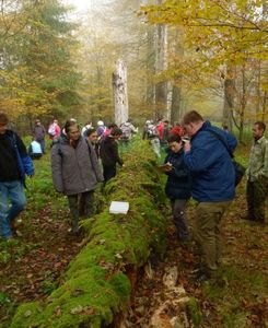 Klikni pro velký obrázek