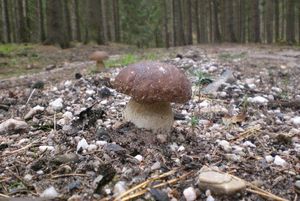 Klikni pro velký obrázek