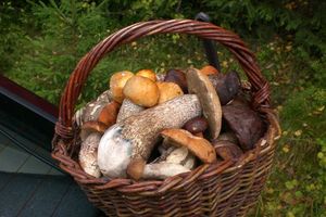 Klikni pro velký obrázek