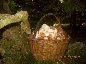 Klikni pro velký obrázek