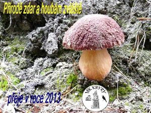 Klikni pro velký obrázek