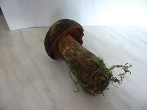 Klikni pro velký obrázek