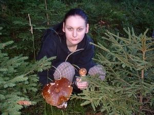 Klikni pro velký obrázek