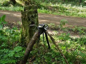 Klikni pro velký obrázek