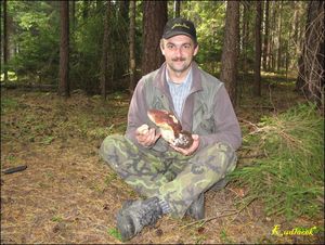 Klikni pro velký obrázek