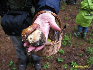 Klikni pro velký obrázek