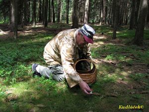 Klikni pro velký obrázek