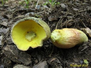 Klikni pro velký obrázek