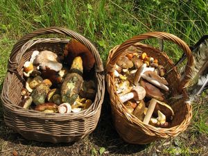 Klikni pro velký obrázek