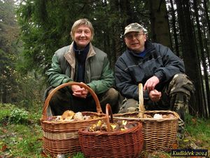 Klikni pro velký obrázek