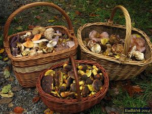 Klikni pro velký obrázek