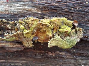 Klikni pro velký obrázek