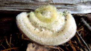 Klikni pro velký obrázek