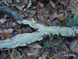 Klikni pro velký obrázek